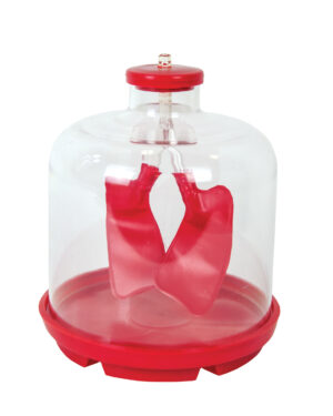 Lung demonstration model