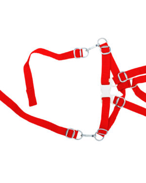 Pair of braces for Emmi with armrest