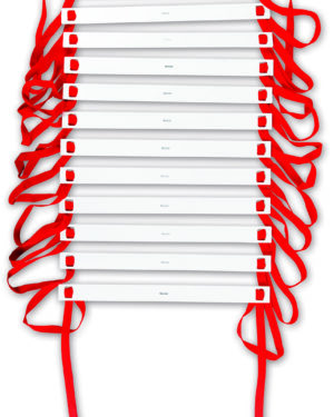 Agility ladder with bag